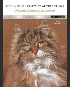Dessiner des chats et autres félins : Du noir et blanc à la couleur