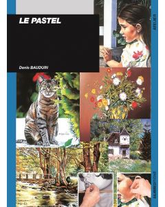 Le pastel : questions réponses